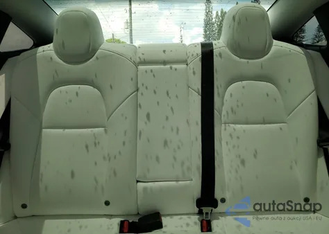 2023 Tesla Model 3 из США, поврежденный, VIN 5YJ3E1EA3PF564257